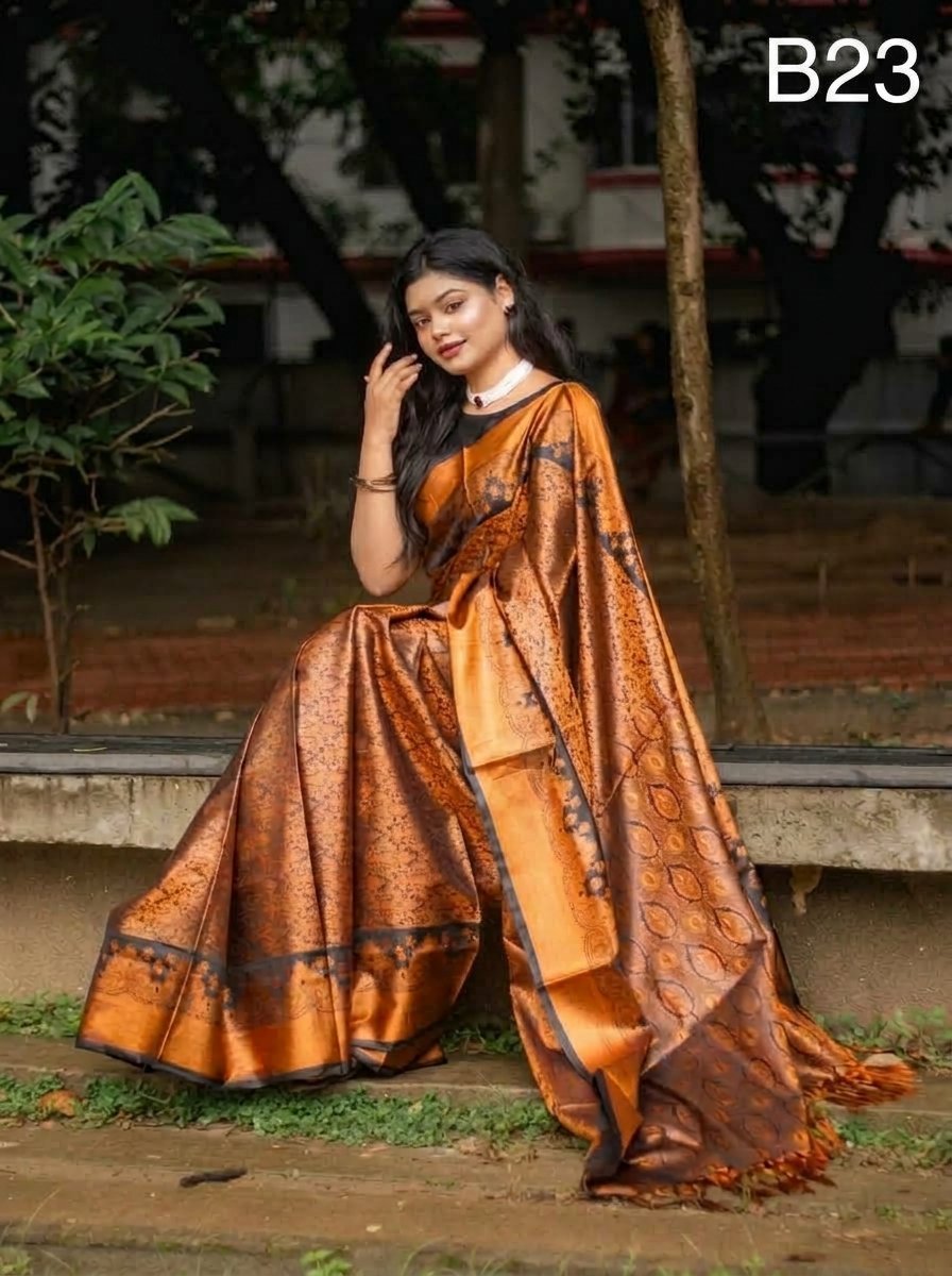 Code-B23 কাঞ্জিভরম কাতান শাড়ি ব্লাউজ পিসসহ