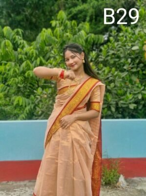 Code-B29 কাঞ্জিভরম লামা সিল্ক ব্লাউজ পিসসহ